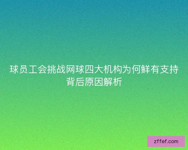 球员工会挑战网球四大机构为何鲜有支持背后原因解析 球员工会挑战网球四大机构为何鲜有支持背后原因解析