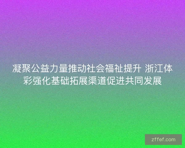 凝聚公益力量推动社会福祉提升 浙江体彩强化基础拓展渠道促进共同发展