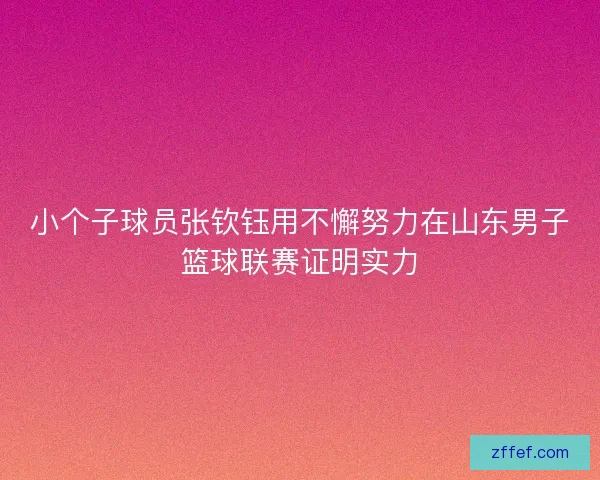 小个子球员张钦钰用不懈努力在山东男子篮球联赛证明实力