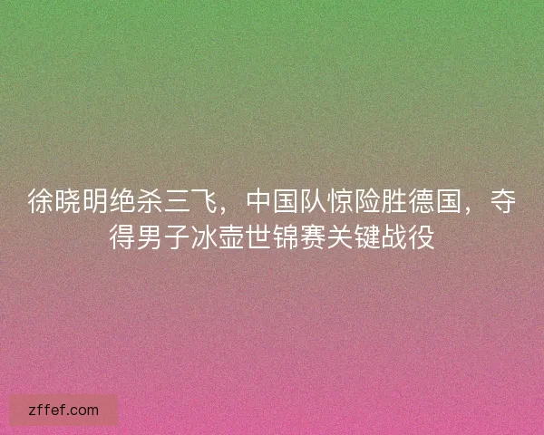 徐晓明绝杀三飞,中国队惊险胜德国,夺得男子冰壶世锦赛关键战役 徐晓明绝杀三飞,中国队惊险胜德国,夺得男子冰壶世锦赛关键战役
